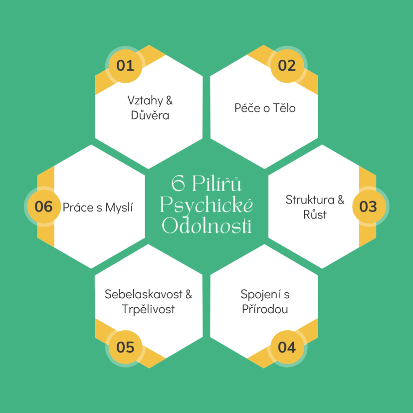 6 Pilířů Psychické Odolnosti